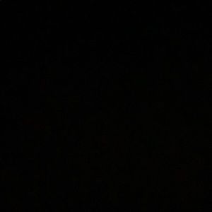 Meet your Posher, Bianca